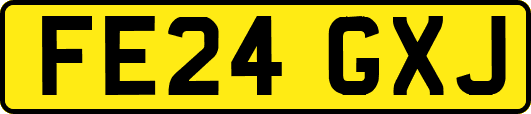 FE24GXJ
