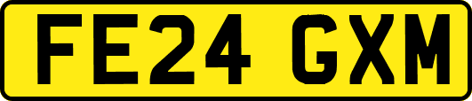 FE24GXM