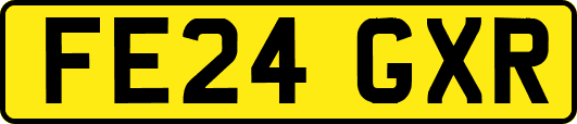 FE24GXR
