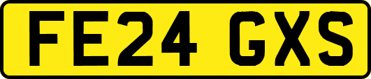 FE24GXS
