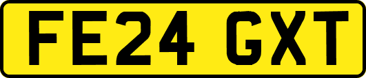FE24GXT
