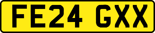 FE24GXX