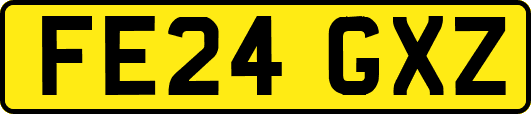 FE24GXZ