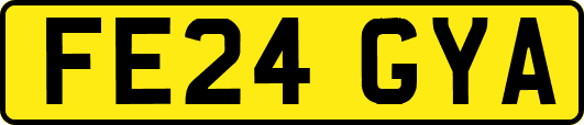 FE24GYA