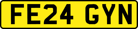 FE24GYN