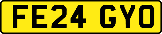 FE24GYO