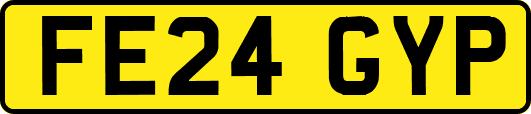 FE24GYP