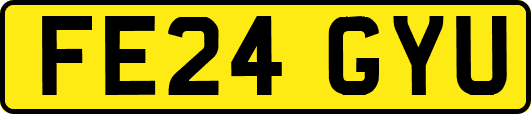 FE24GYU