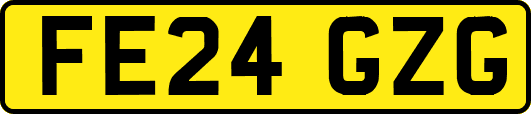 FE24GZG