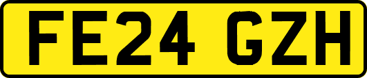 FE24GZH