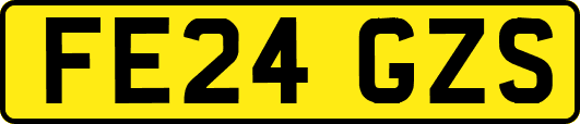FE24GZS