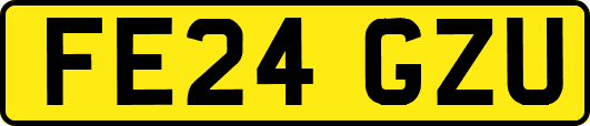 FE24GZU