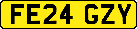 FE24GZY