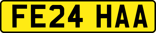 FE24HAA