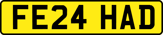 FE24HAD