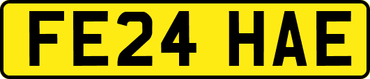 FE24HAE