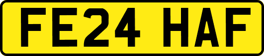FE24HAF
