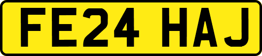 FE24HAJ