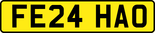 FE24HAO