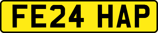 FE24HAP