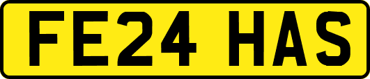 FE24HAS