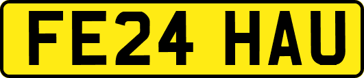 FE24HAU