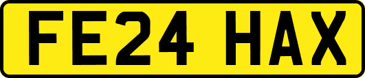 FE24HAX