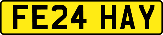 FE24HAY