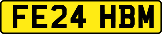 FE24HBM