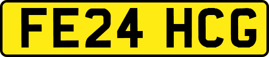 FE24HCG