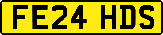 FE24HDS