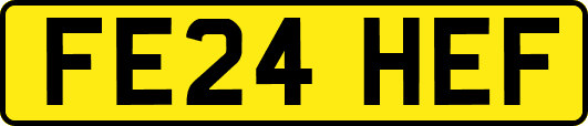 FE24HEF