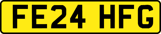 FE24HFG