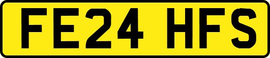 FE24HFS