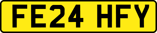 FE24HFY