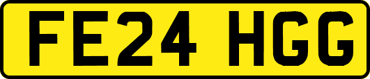 FE24HGG