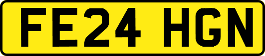 FE24HGN