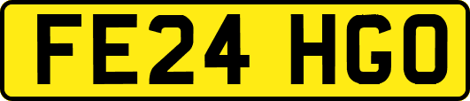 FE24HGO