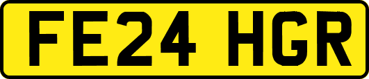 FE24HGR