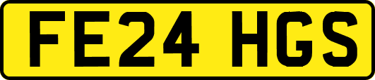 FE24HGS