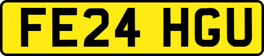 FE24HGU