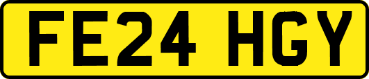 FE24HGY