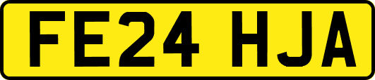 FE24HJA