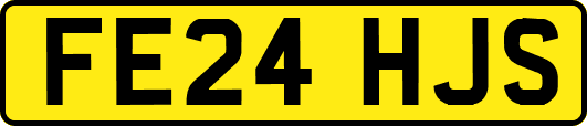 FE24HJS