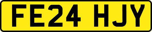 FE24HJY