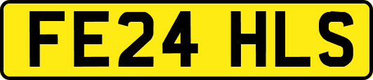 FE24HLS