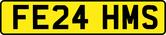 FE24HMS