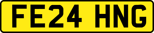 FE24HNG