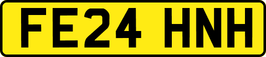 FE24HNH