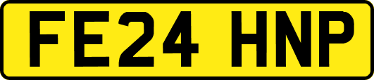 FE24HNP